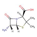 6-Aminopenicillanic Acid