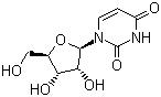 CAS # 58-96-8, Uridine