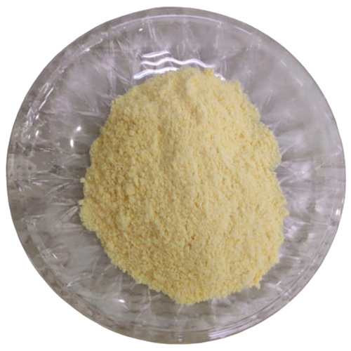 Coenzyme Q10