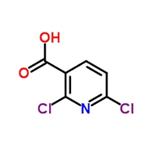 2,6-Dichloronicotinic acid