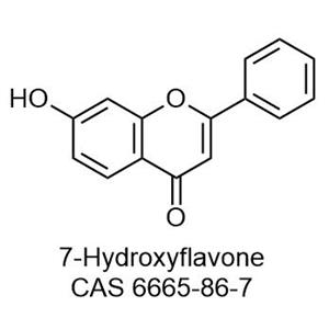 7-Hydroxyflavone