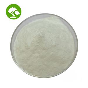 Coconut Milk Powder