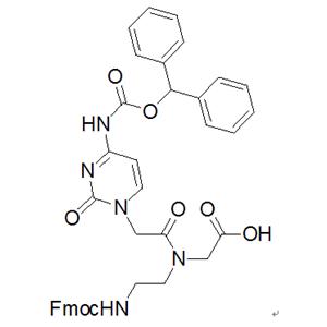 Fmoc-PNA-C(Bhoc)-OH