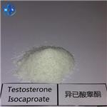 Testosterone isocaproate