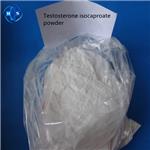 Testosterone isocaproate