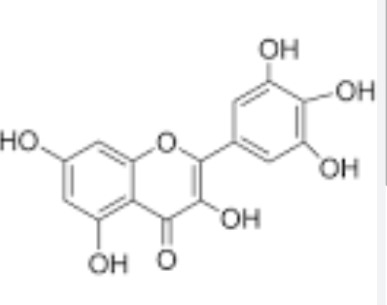 myricetin