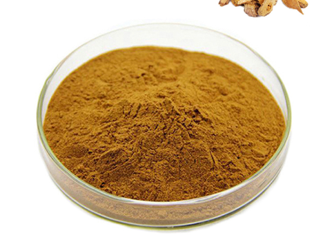 polygonum cuspidatum extract