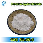 Procaine hydrochloride