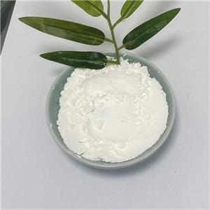 Procaine hydrochloride