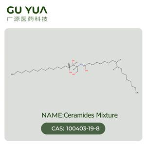 Ceramides Mixture