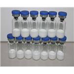 Hexapeptide-11/Peptamide 6 powder