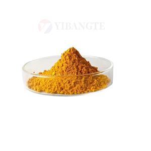 CURCUMA LONGA EXTRACT