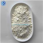 Papain Coarse-enzyme