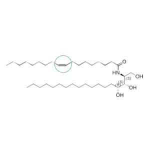 Ceramide NP1 