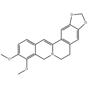 Dihydroberberine