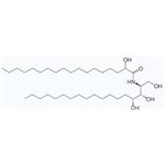 Ceramides