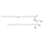 Ceramides