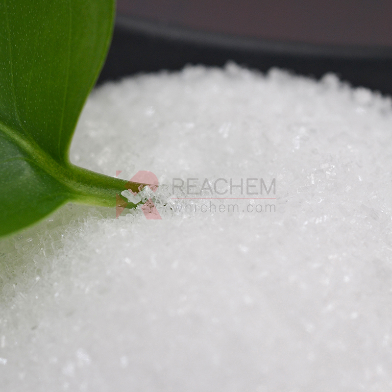 Procaine hydrochloride