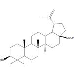 472-15-1 Betulinic acid