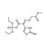 poly(methyl methacrylate) isotactic