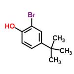 2-Bromo-4-tert-butylphenol