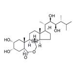 Epibrassinolide