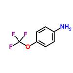 4-(Trifluoromethoxy)aniline