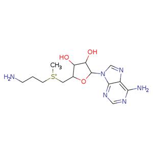 {[(2S,3S,4R,5R)-5-(6-amino-9H-purin-9-yl)-3,4-dihydroxyoxolan-2-yl]methyl}(3-aminopropyl)methylsulfanium