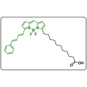 BODIPY 581/591 C11