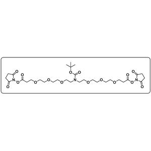 N-Boc-N-bis(PEG3-NHS ester)