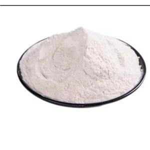 Proglumide