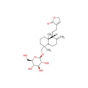 Neoandrographolide