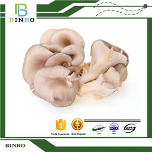 Pleurotus ostreatus extract