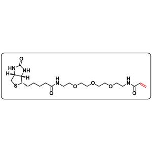 Biotin-PEG3-Acrylamide