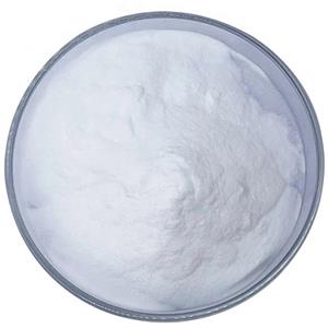 6-Methylene Progesterone Acetate