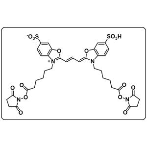 Cy2-DiSE(DiSO3)