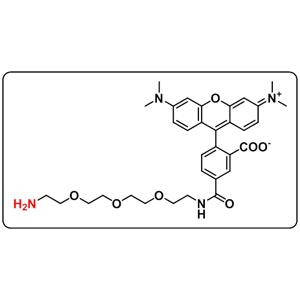 5-TAMRA-PEG3-amine