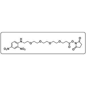 DNP-PEG4-NHS ester