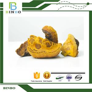 Fleckedflesh Polypore Extract