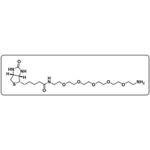 Biotin-PEG5-amine