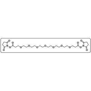 Bis-PEG7-NHS ester