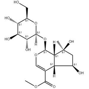 SHANZHISIDE METHYL ESTER