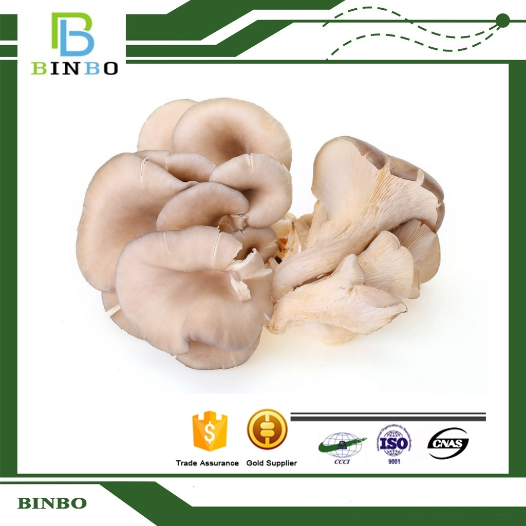 Pleurotus ostreatus extract