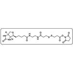 Biotin-bisamido-SS-NHS ester