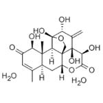 EURYCOMANONE