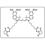 Cyanine3.5 dise(tetra so3)