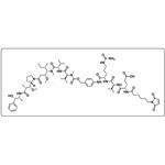 MC-EVCit-PAB-MMAE