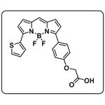 BODIPY TR carboxylic acid