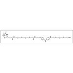 UV-Tracer Biotin amine