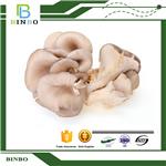 Pleurotus ostreatus extract